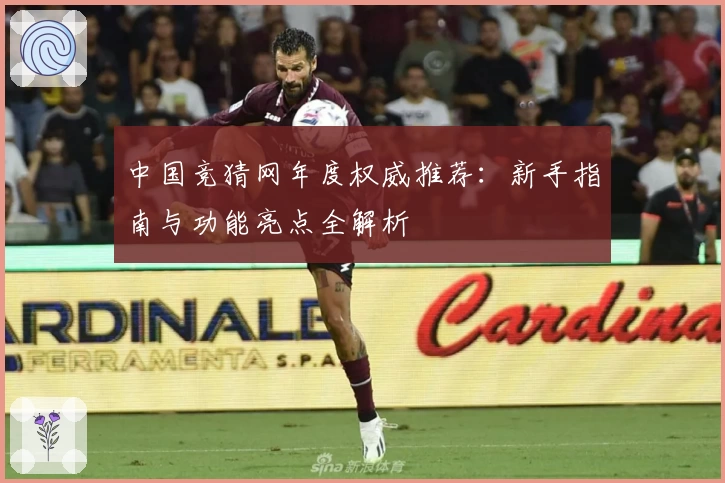 中国竞猜网年度权威推荐：新手指南与功能亮点全解析