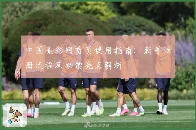 中国竞彩网首页使用指南：新手注册流程及功能亮点解析